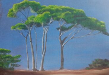 Les pins 24X18 huile sur toile