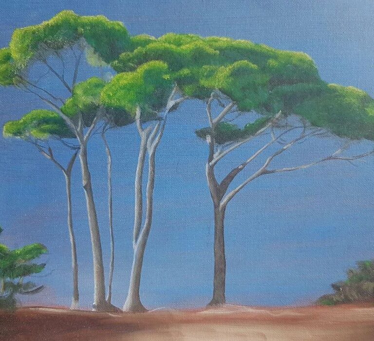 Les pins 24X18 huile sur toile