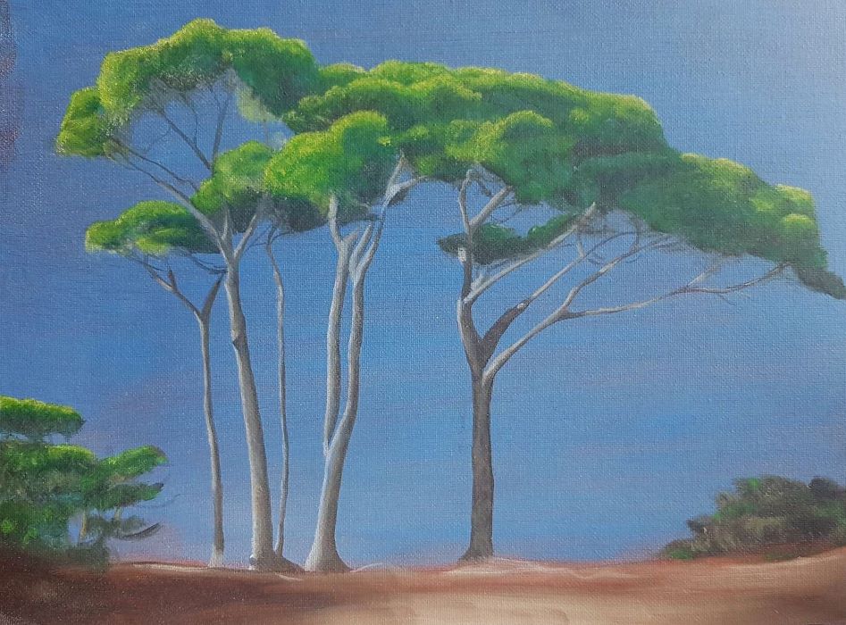 Les pins 24X18 huile sur toile